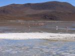 Bolivie 3 - 18