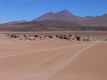 Bolivie 3 - 24