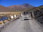 Bolivie 3 - 92