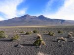 Bolivie 4 - 54