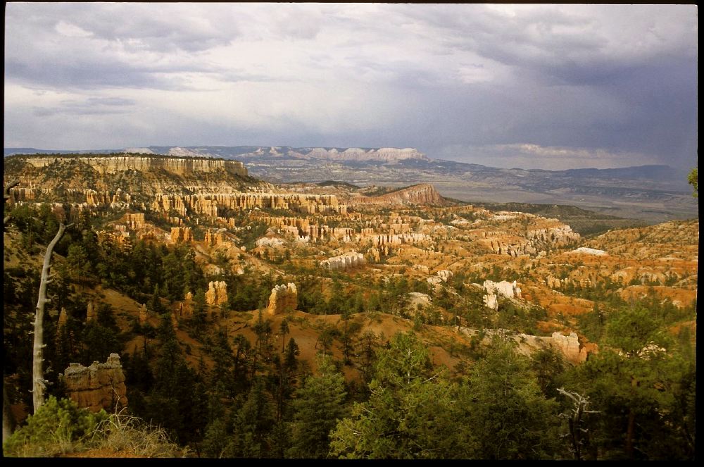 Etats Unis 2000 - 164