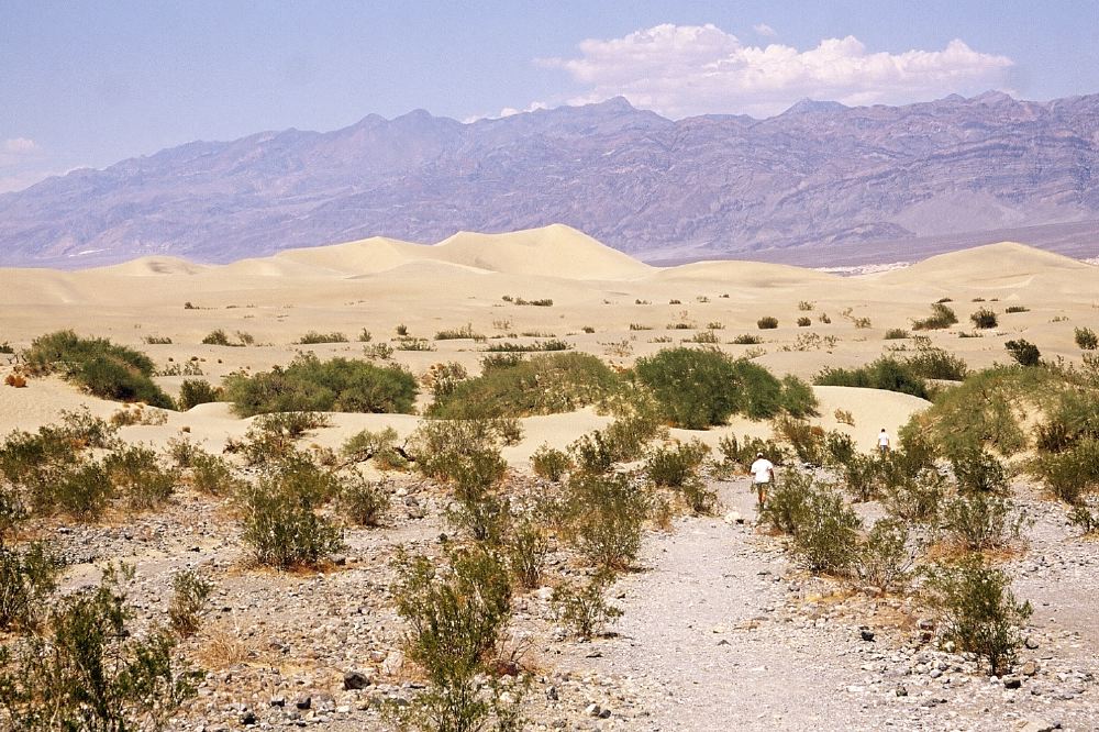 Etats Unis 2001 - 152