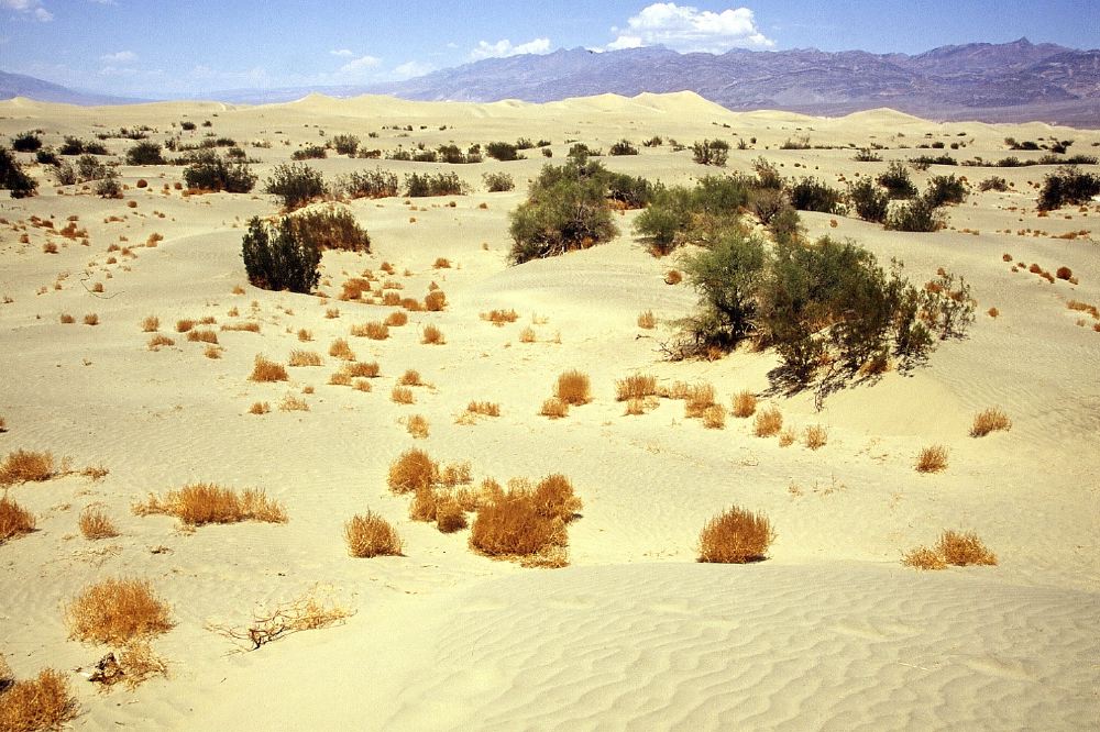 Etats Unis 2001 - 148