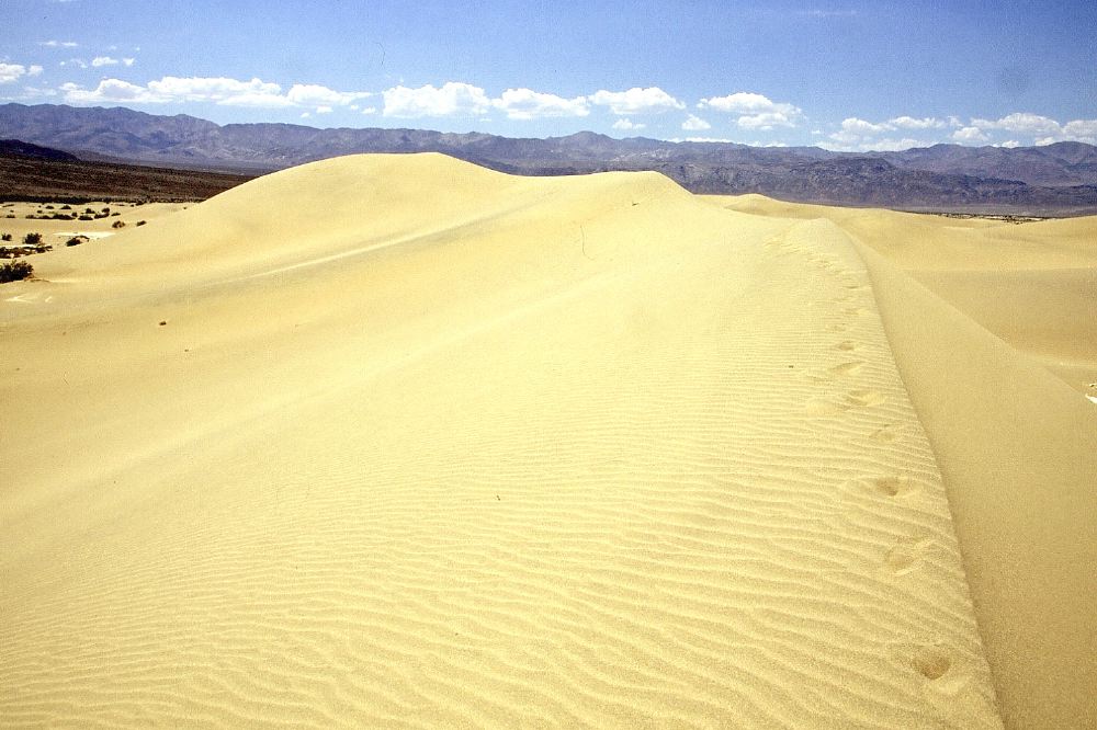 Etats Unis 2001 - 150