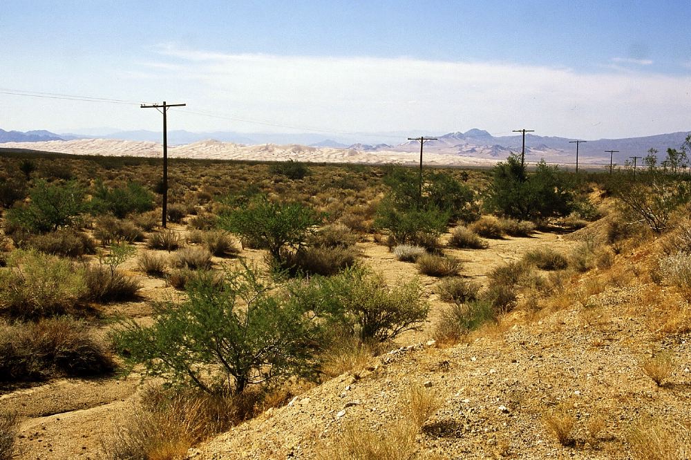 Etats Unis 2001 - 171