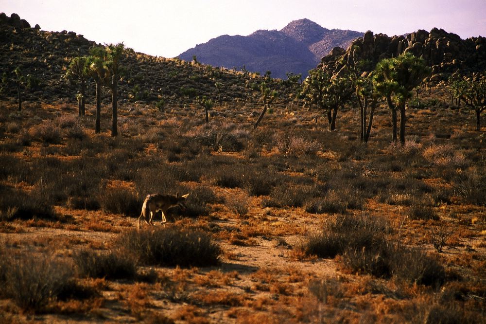Etats Unis 2001 - 174