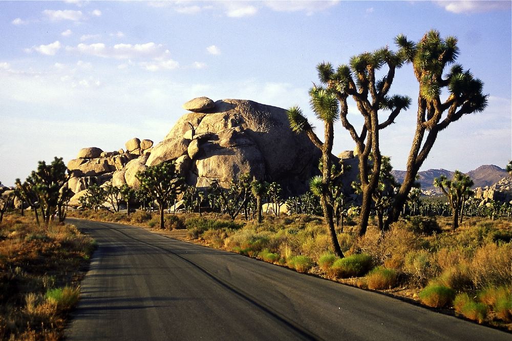 Etats Unis 2001 - 176