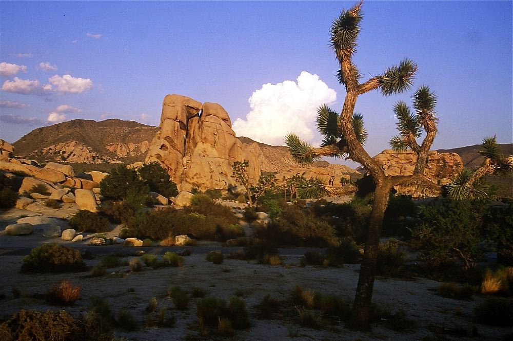 Etats Unis 2001 - 177