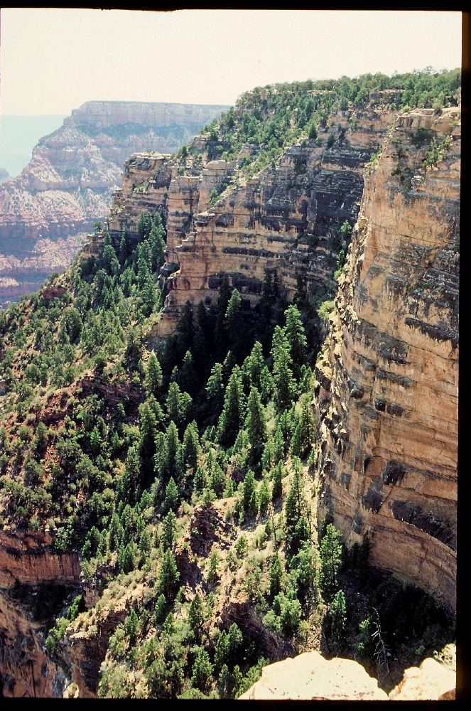 Etats Unis 2000 - 080