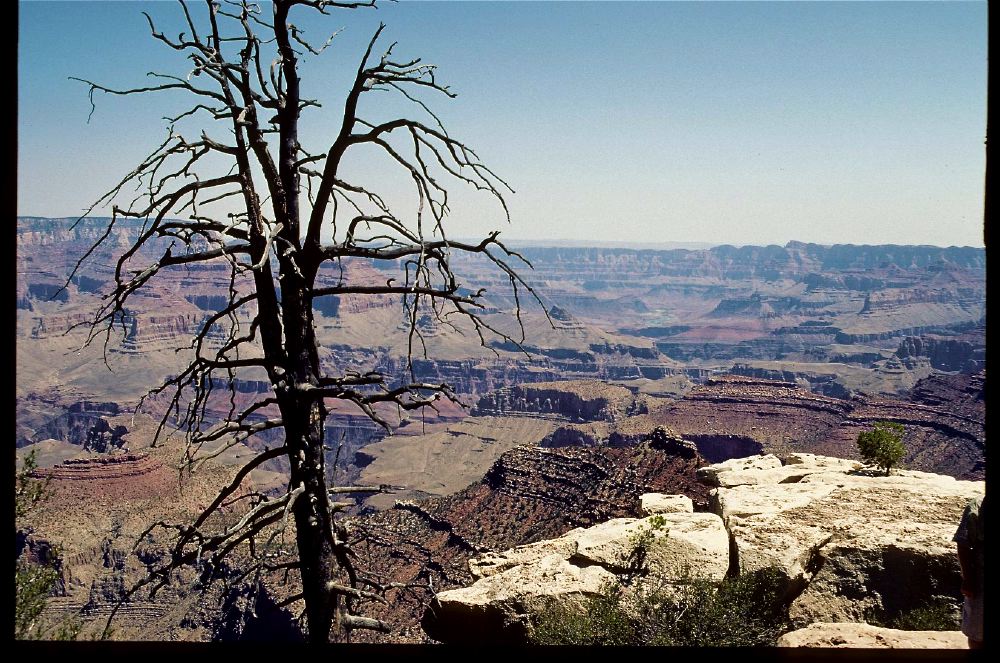Etats Unis 2000 - 082