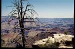 Etats Unis 2000 - 082