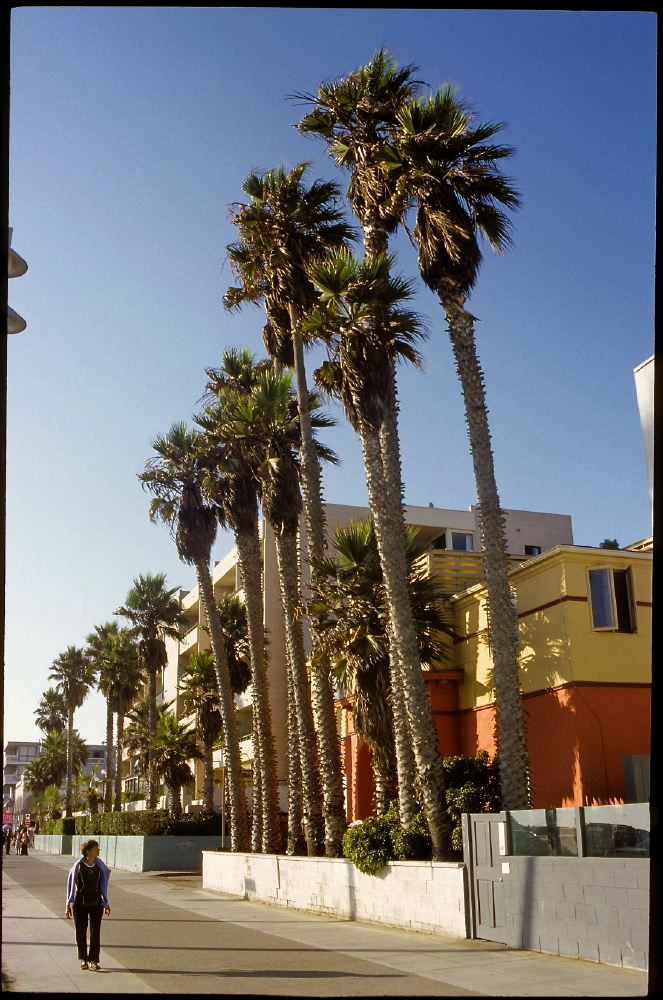 Etats Unis 2000 - 037