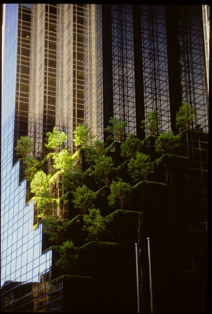 Etats-Unis 1991 - 113
