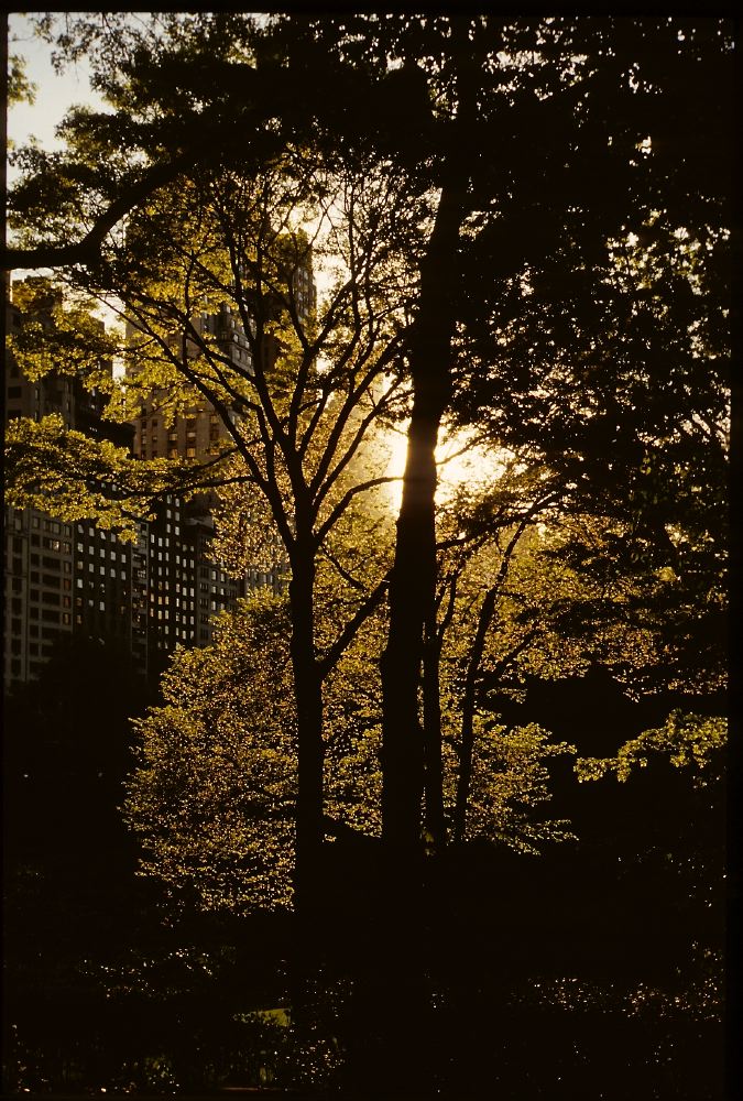 Etats-Unis 1991 - 116