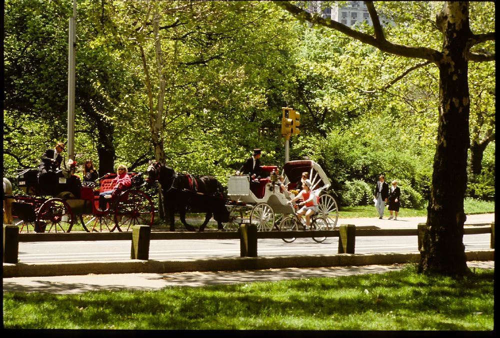 Etats-Unis 1991 - 125