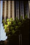 Etats-Unis 1991 - 113
