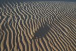 _DSC0191