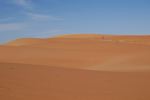 _DSC0217