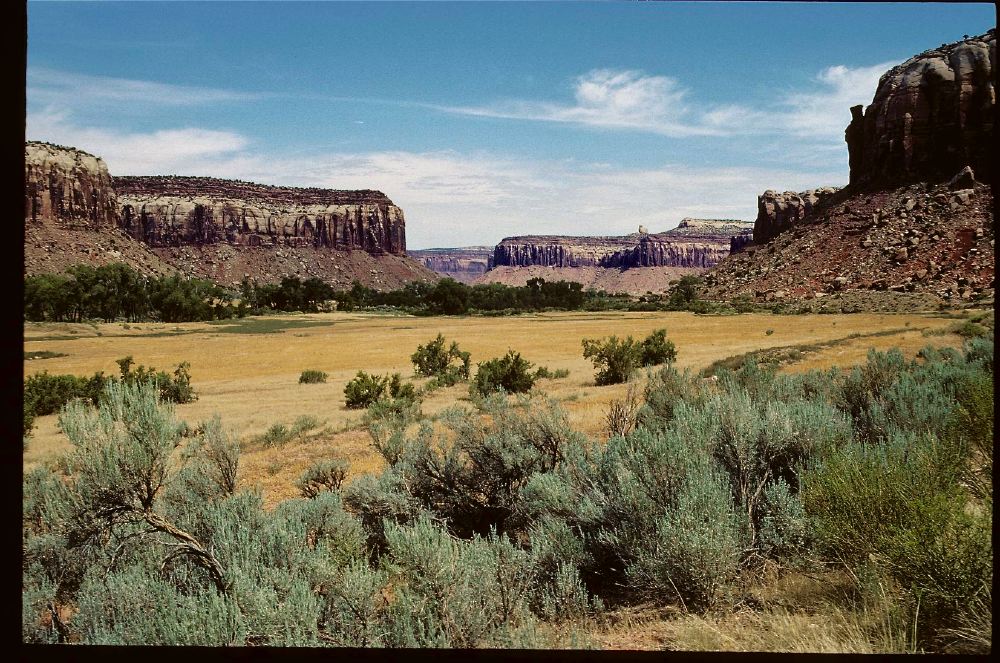 Etats Unis 2000 - 119