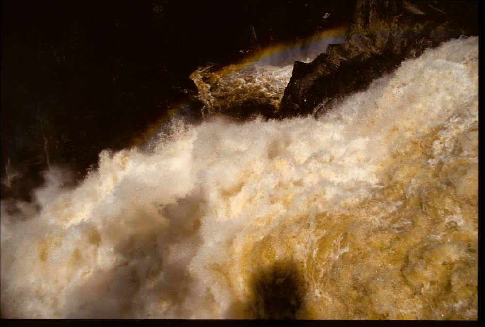 Etats-Unis 1991 - 161