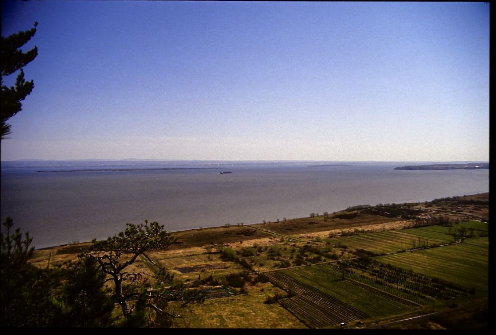 Etats-Unis 1991 - 167