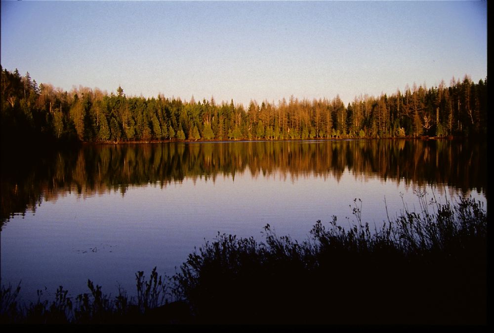 Etats-Unis 1991 - 170
