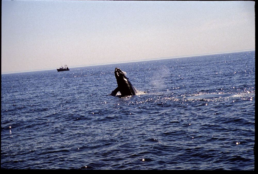 Etats-Unis 1991 - 191