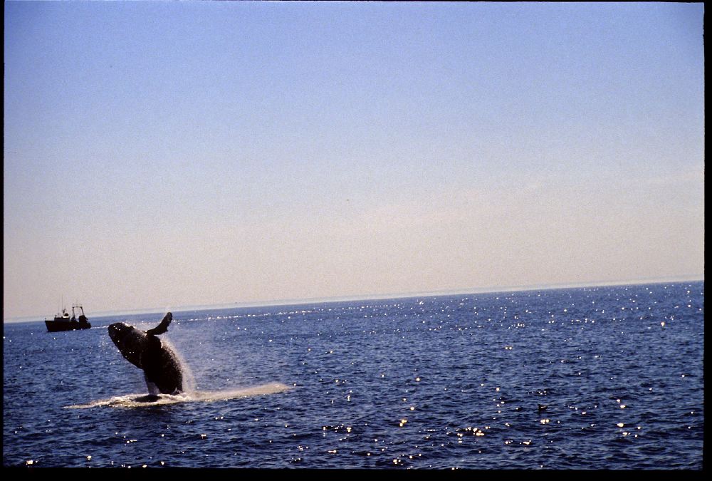 Etats-Unis 1991 - 192