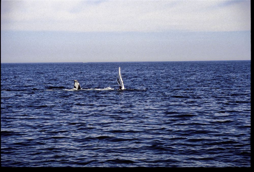 Etats-Unis 1991 - 196