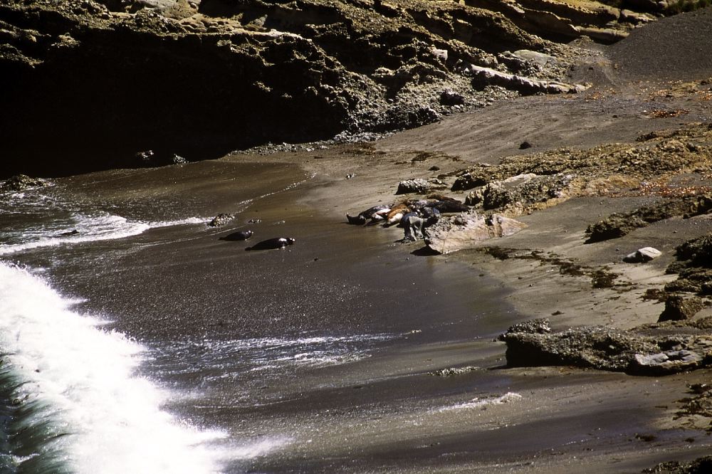 Etats Unis 2001 - 052