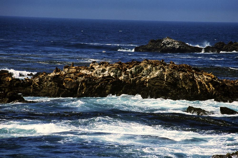 Etats Unis 2001 - 053