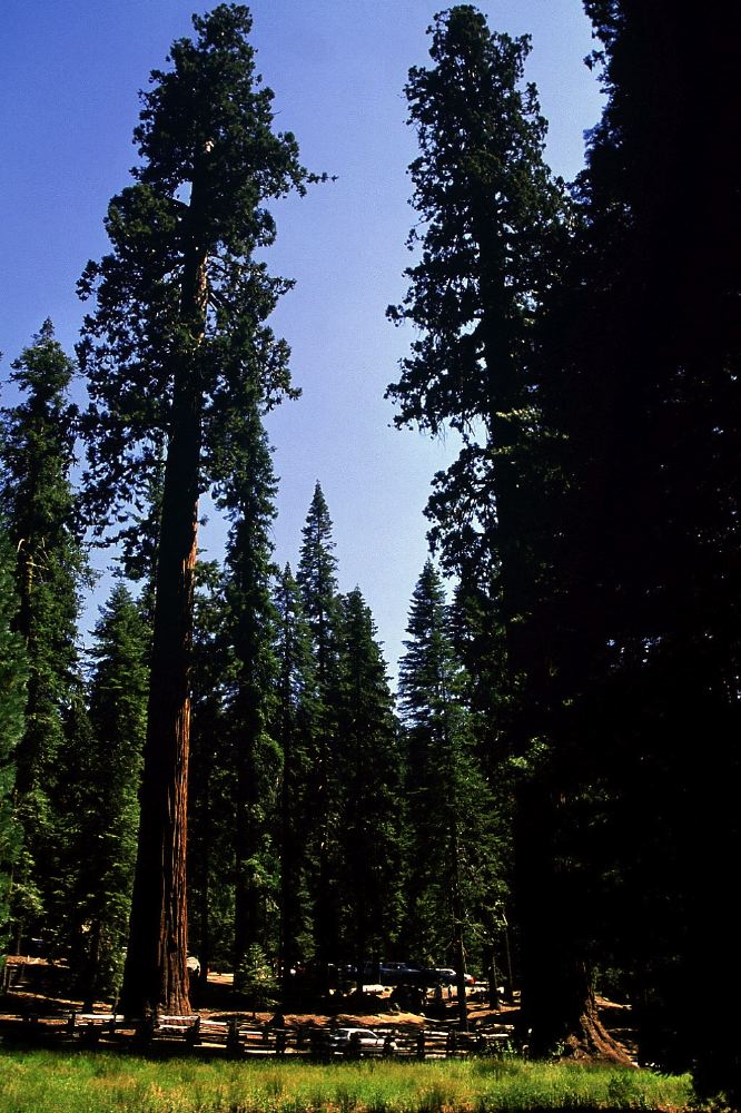 Etats Unis 2001 - 132