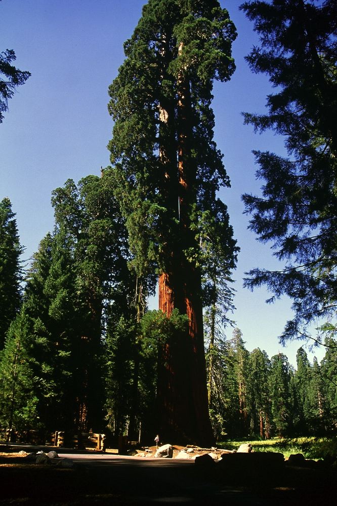 Etats Unis 2001 - 136