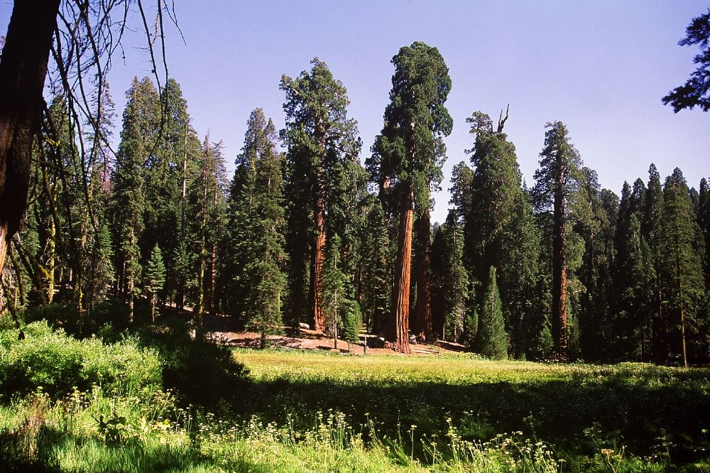 Etats Unis 2001 - 137