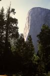 Etats Unis 2001 - 109